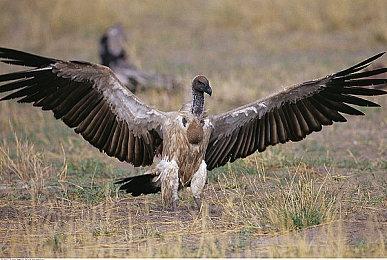 《超侦探事件簿 雾雨谜宫》季票公布 包含4个DLC