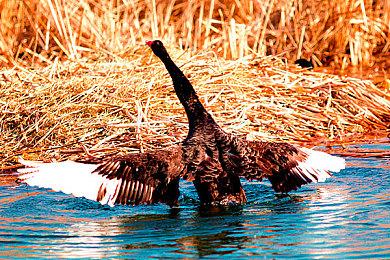  Xbox更新辅助功能指南 将更好的服务残障人士